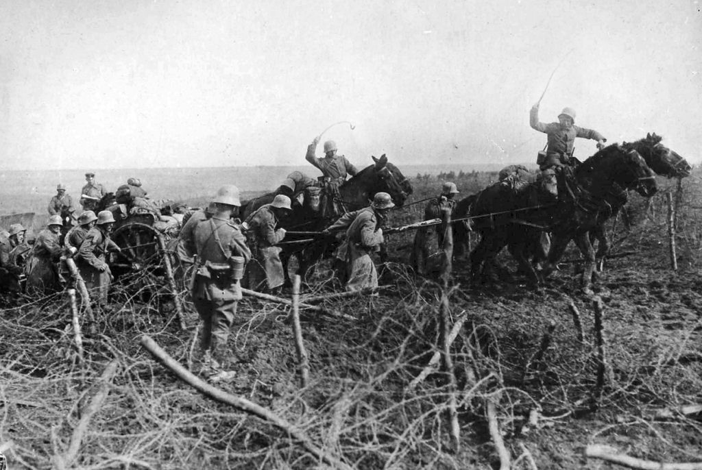 Os animais também lutaram na Primeira Guerra Mundial 29