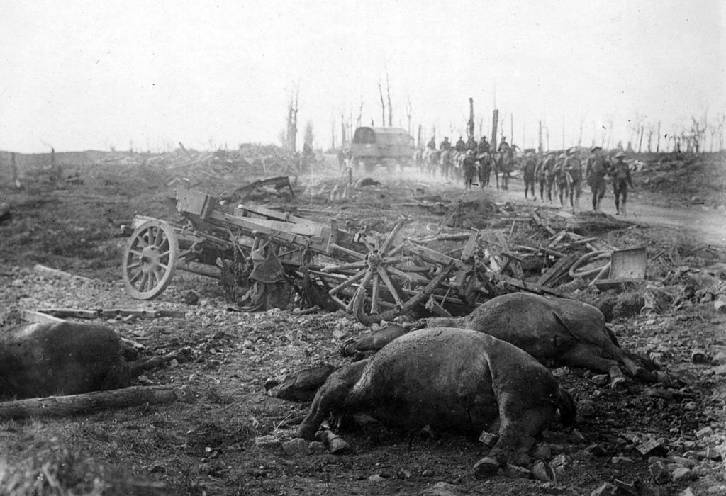 Os animais também lutaram na Primeira Guerra Mundial 43