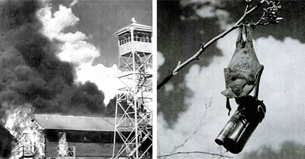 As inacreditáveis bombas-de-morcego da Segunda Guerra Mundial