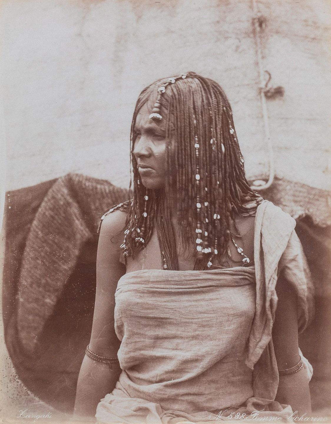 Magnficas imagens capturam as maravilhas antigas e modernas do sculo XIX no Egito 11