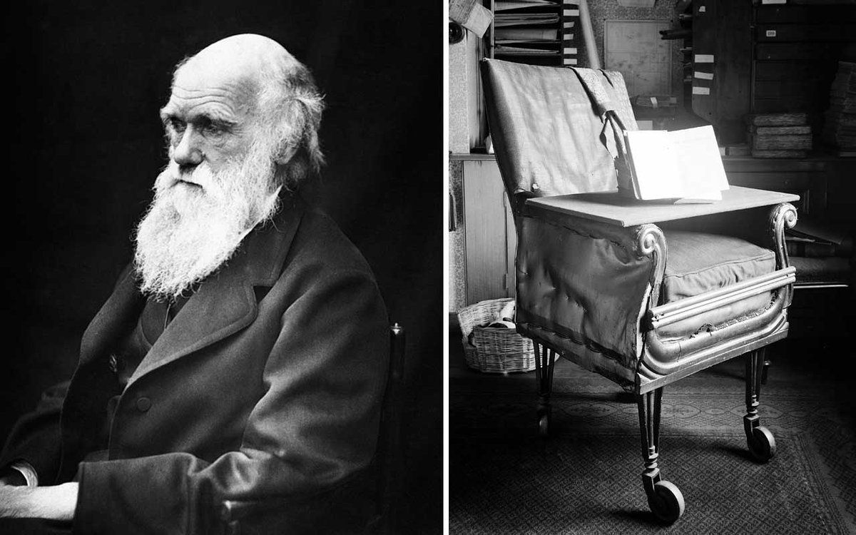 Por que as cadeiras de escrit