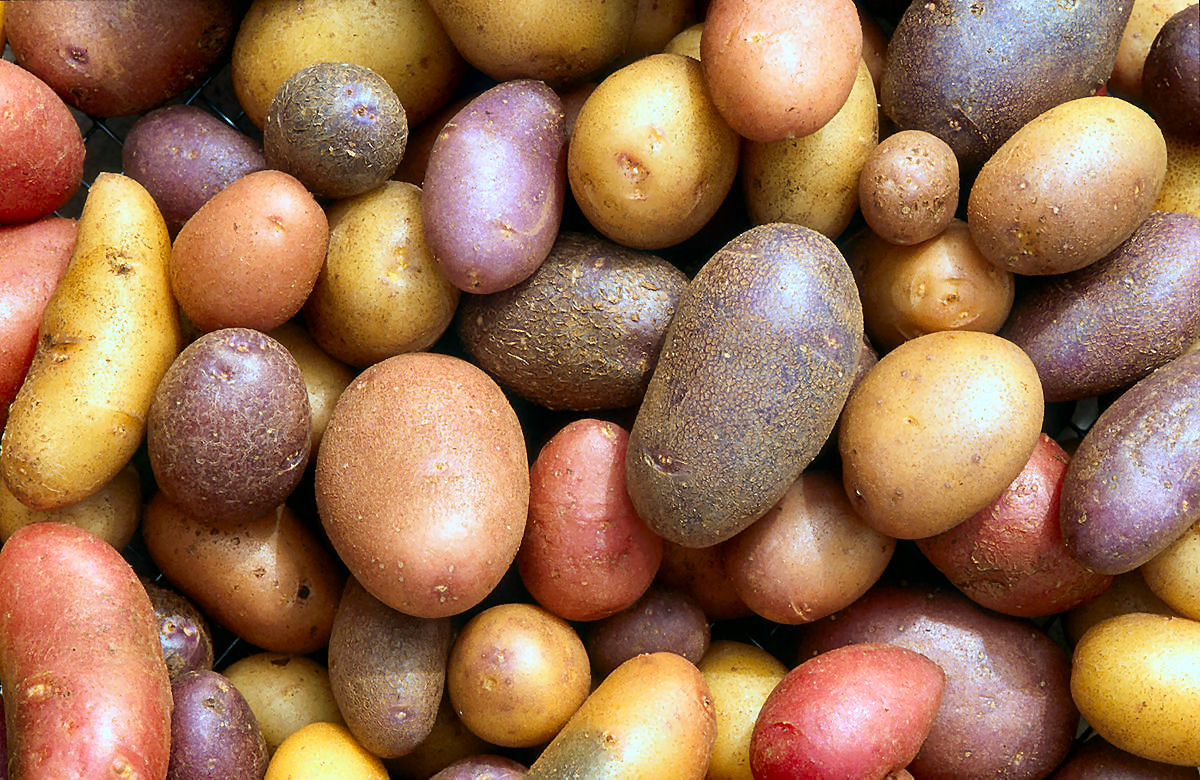 Uma breve história do purê de batata, que talvez você não saiba