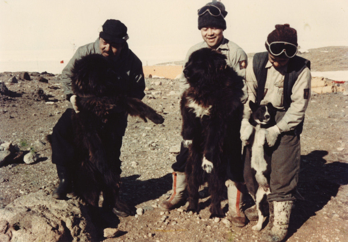 A inacredit�vel hist�ria de sobreviv�ncia polar de Jiro e Taro