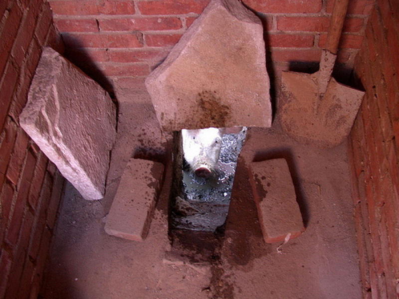 As latrinas de porcos, uma soluo para a ausncia de esgoto na antiguidade