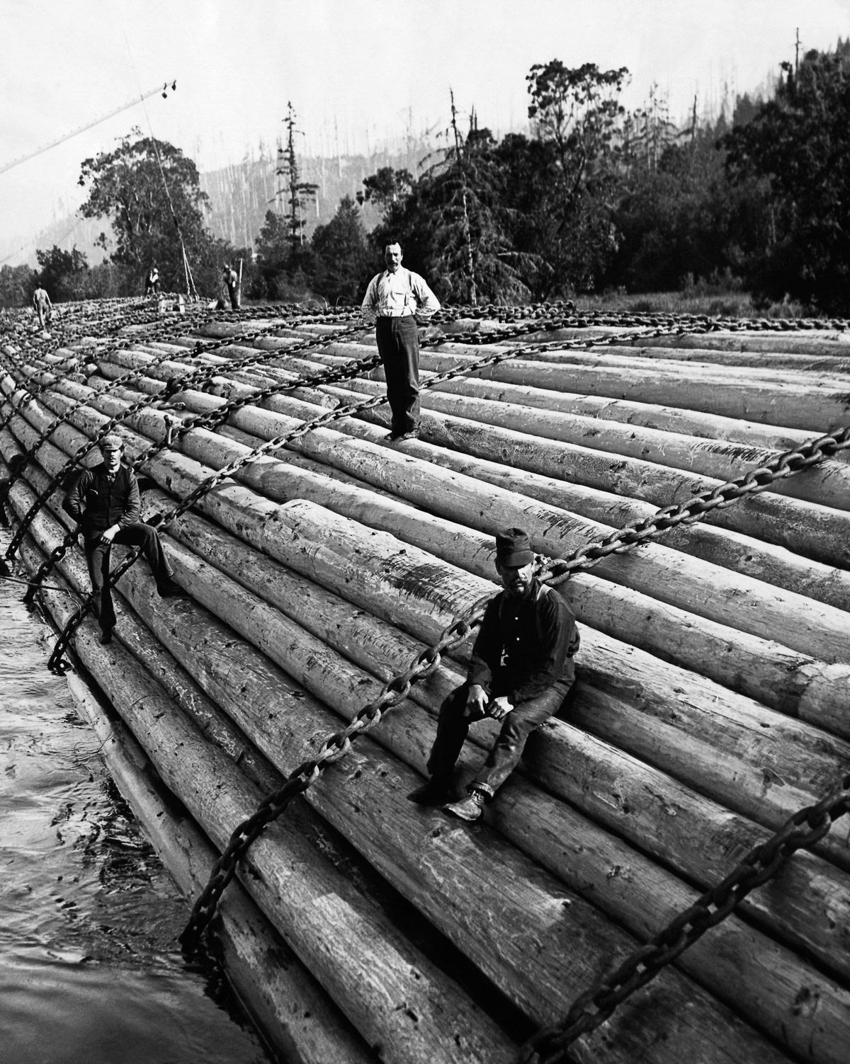 Os lenhadores da velha escola que derrubavam rvores gigantes com machados 14