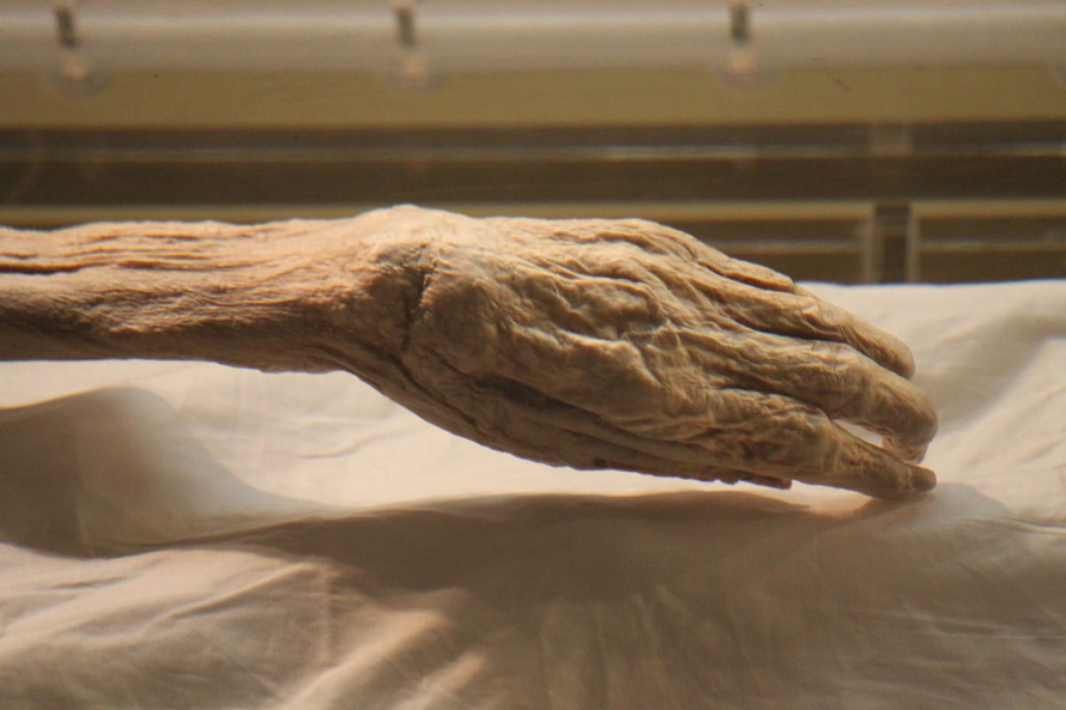 O mistrio da mmia preservada de Lady Dai, uma das descobertas arqueolgicas mais fantsticas do sculo XX