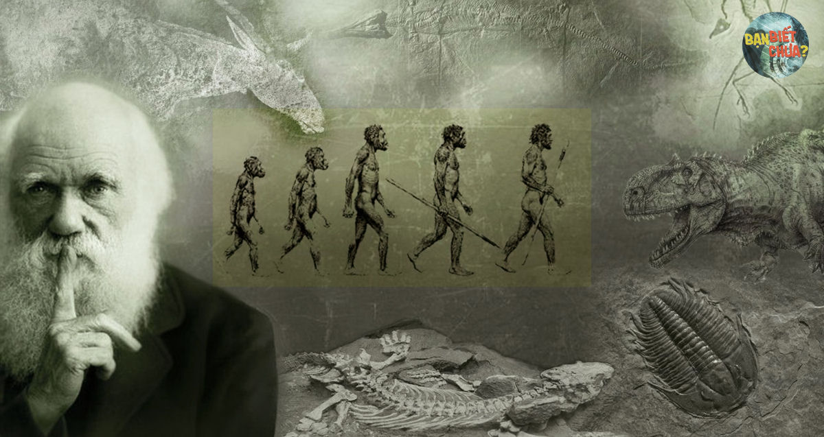 O que realmente aconteceu logo aps a publicao da teoria da evoluo?