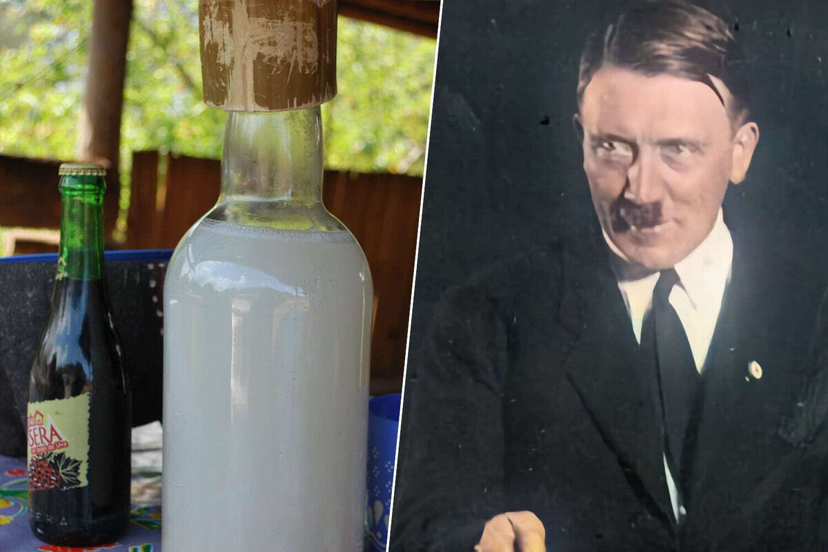 Hitler ficou to obcecado pelo pulque mexicano, que mandou filmar um documentrio sobre essa bebida dos deuses