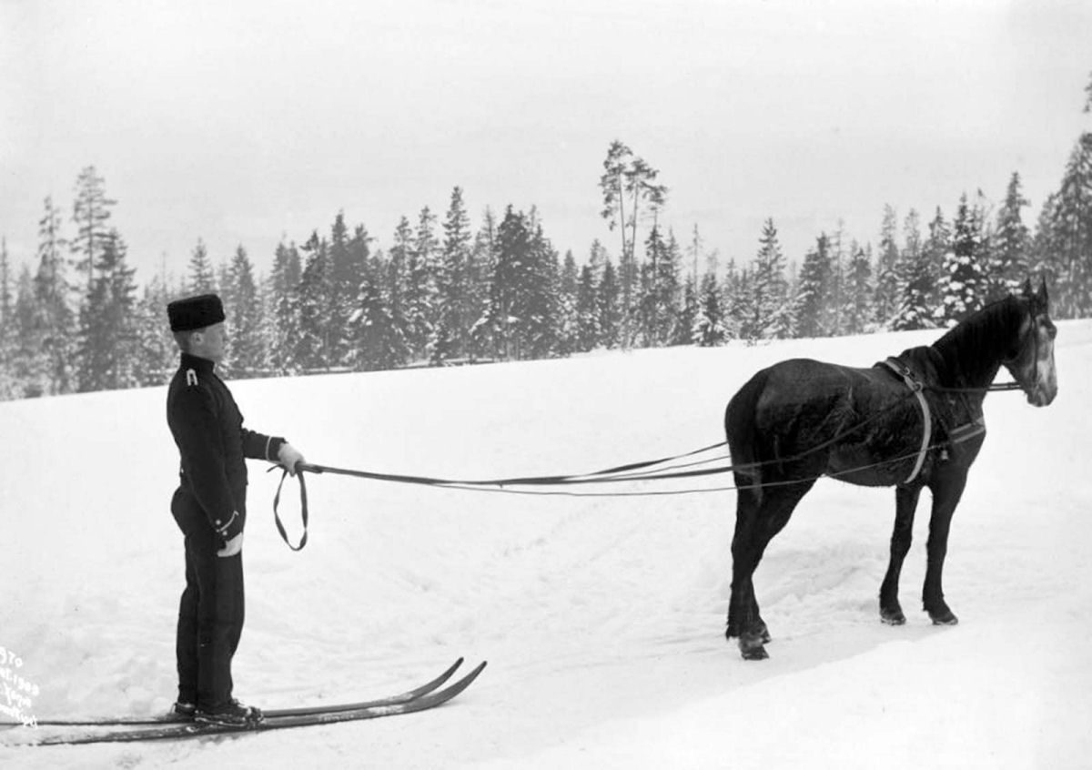 Fotos históricas mostram noruegueses esquiando à reboque de cavalos nos anos 1900 08