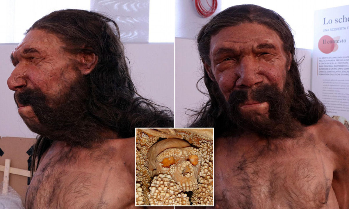 O Homem de Altamura é um dos fósseis paleolíticos mais completos e bem preservados já descobertos