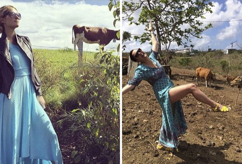 Australiana continua trollando hilariamente as fotos do Instagram de celebridades 67