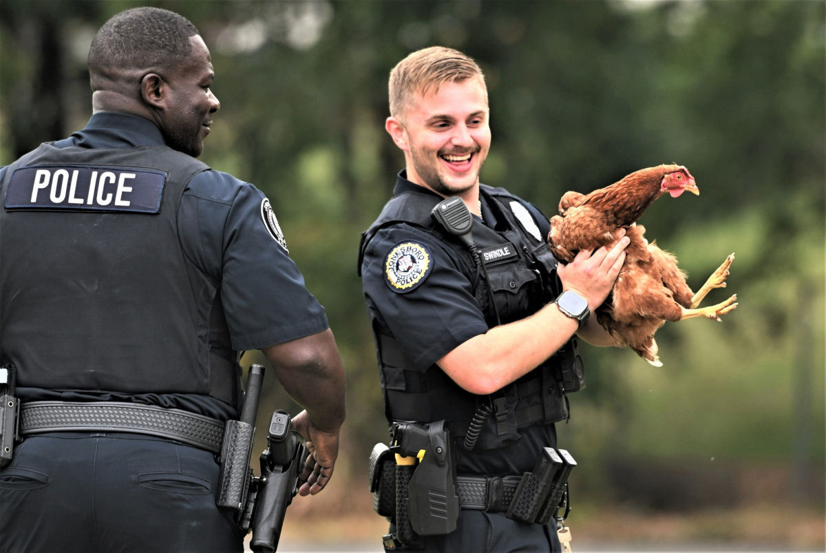 Americana liga para a polcia porque tinha uma galinha tentando invadir a sua casa