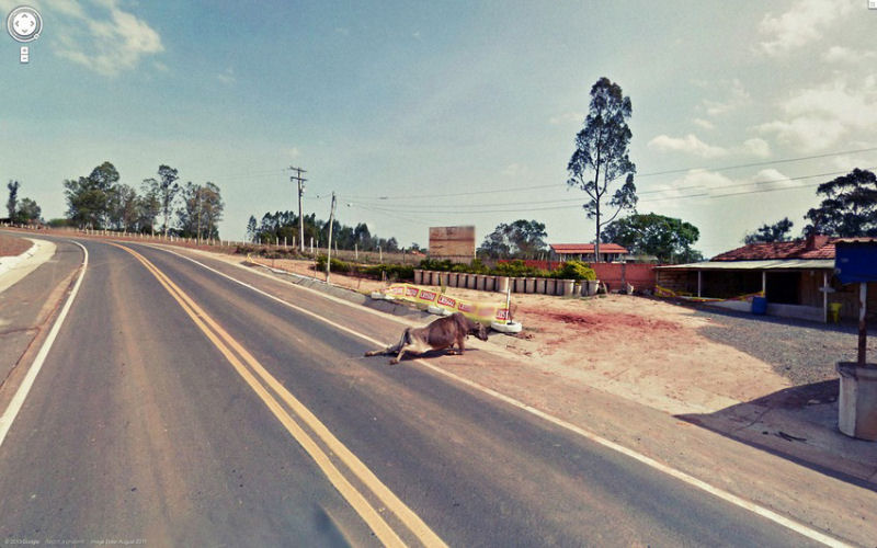 As 22 imagens mais assustadoras do Google Street View 10