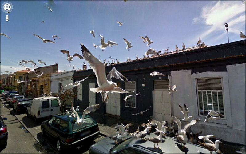As 22 imagens mais assustadoras do Google Street View 12