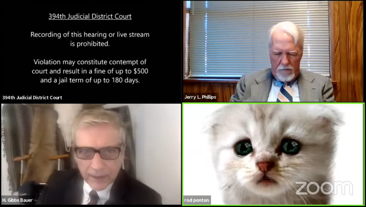 'Não sou um gato': advogado não sabia desativar o filtro em plena audiência via Zoom