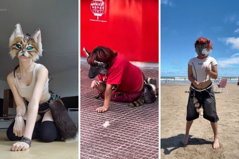 O que são terianos e como eles se diferenciam dos furries?