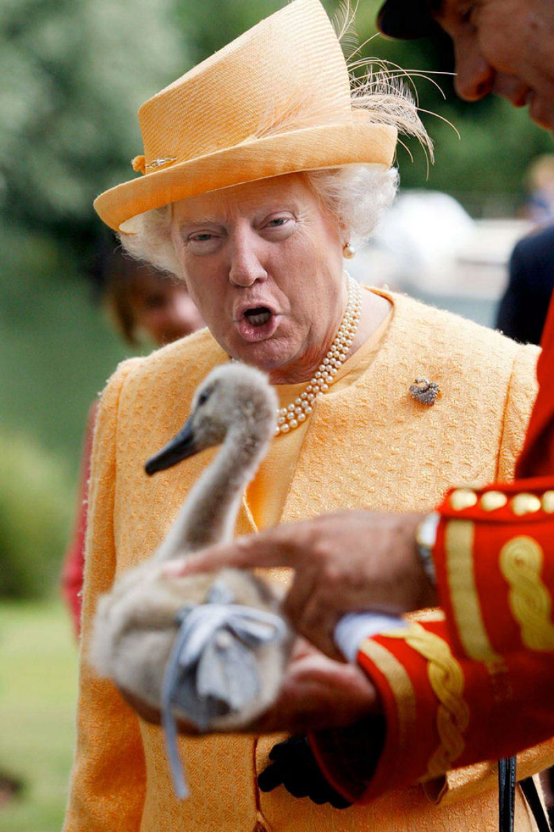 As montagens que combinam a cara de Trump com a da rainha da Inglaterra 11