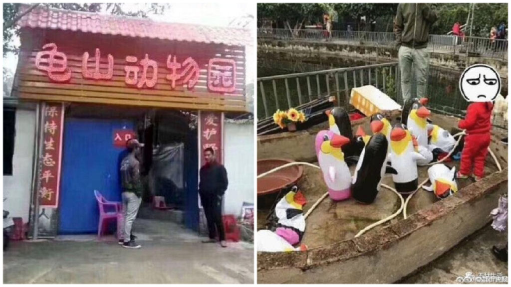 O zoolgico mais lamentvel do mundo em Yulin, na China, exibe Pinguins inflveis e galinhas 01