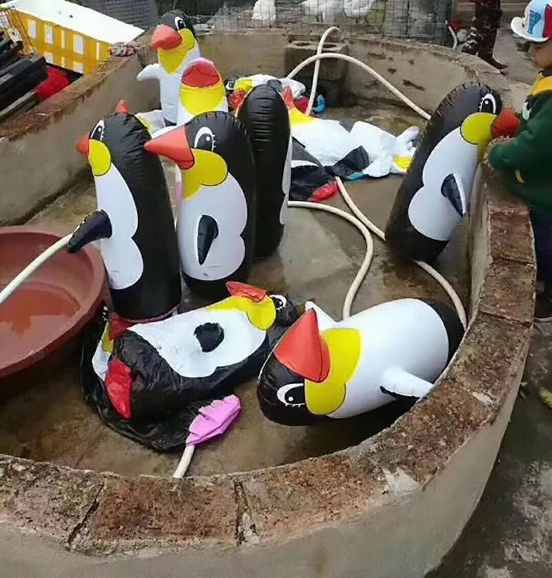 O zoolgico mais lamentvel do mundo em Yulin, na China, exibe Pinguins inflveis e galinhas 02