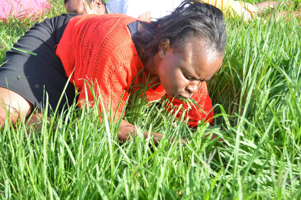 Crentes sul-africanos comem grama para ficarem mais próximos de Deus 02