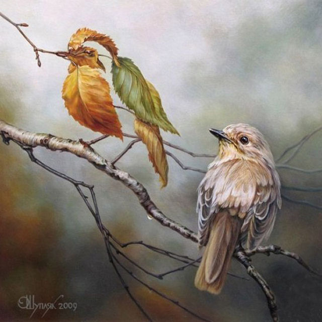 Impressionates iluses de ptica surrealistas por Oleg Shuplyak 09