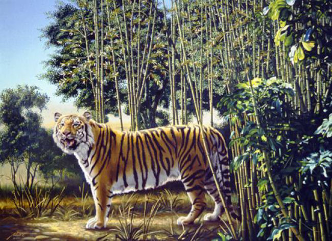 Desafio: encontrar o tigre escondido
