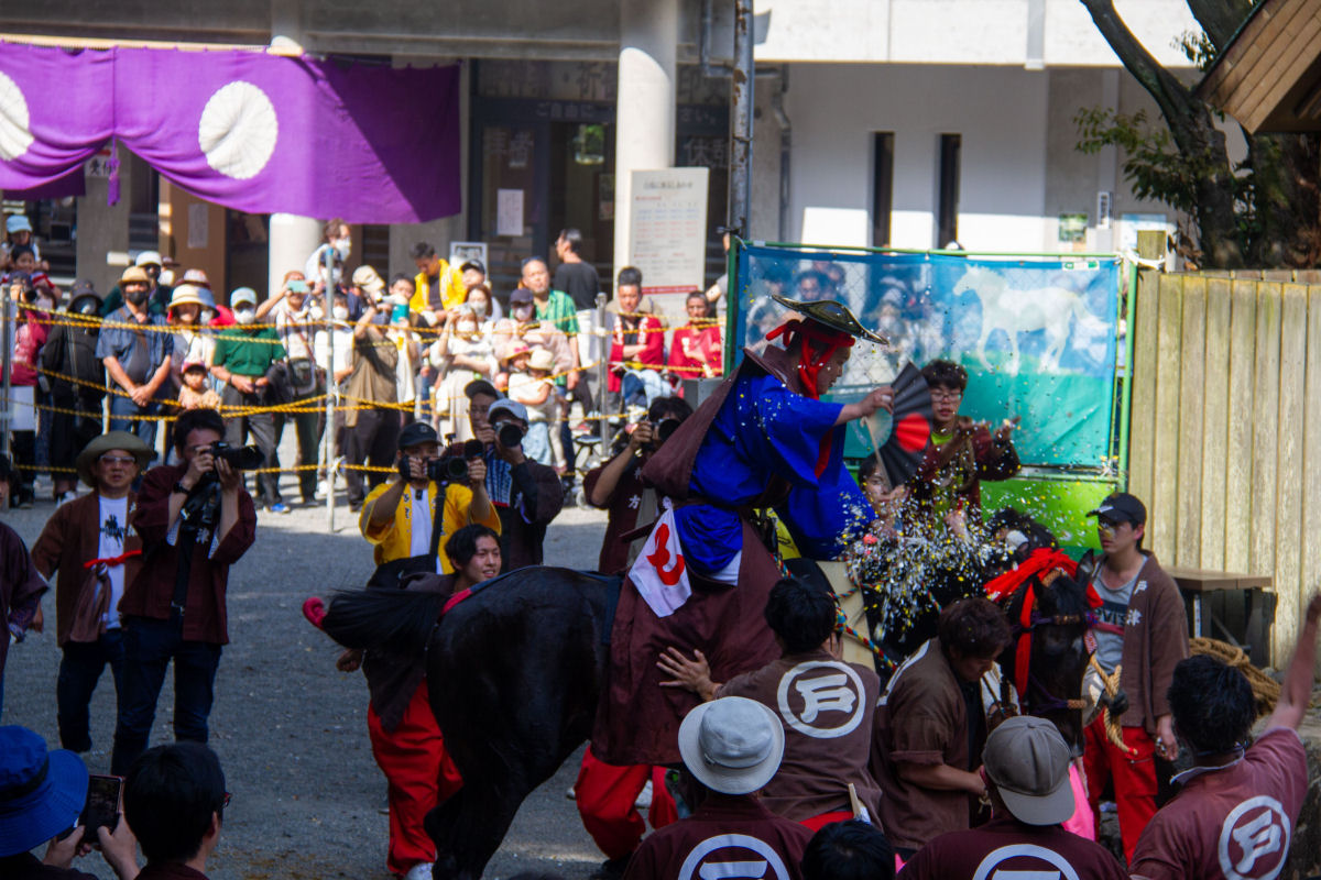 Ritual xintosta secular com cavalos desatou crticas de abuso de animais, no Japo