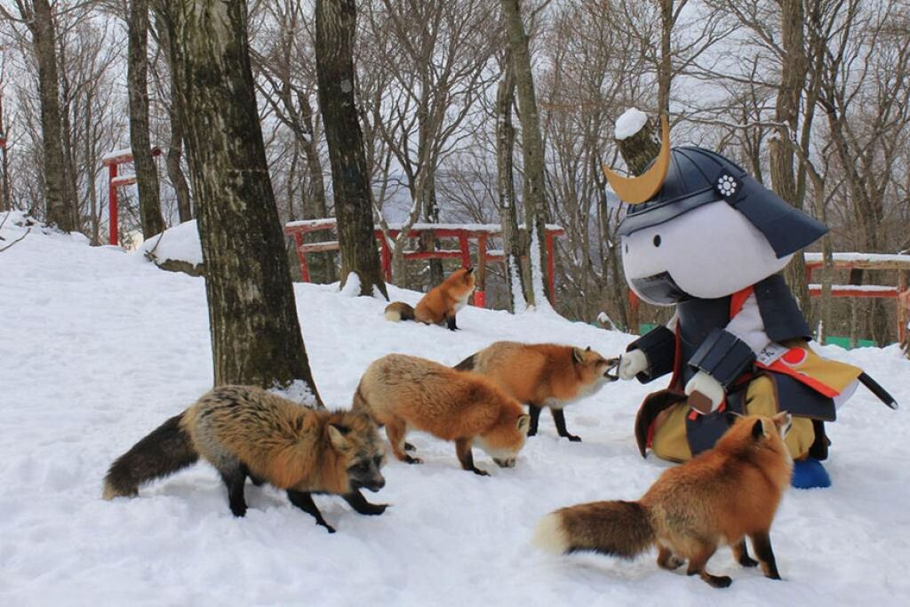 Este santurio para raposas no Japo  um dos lugares mais adorveis do planeta 07