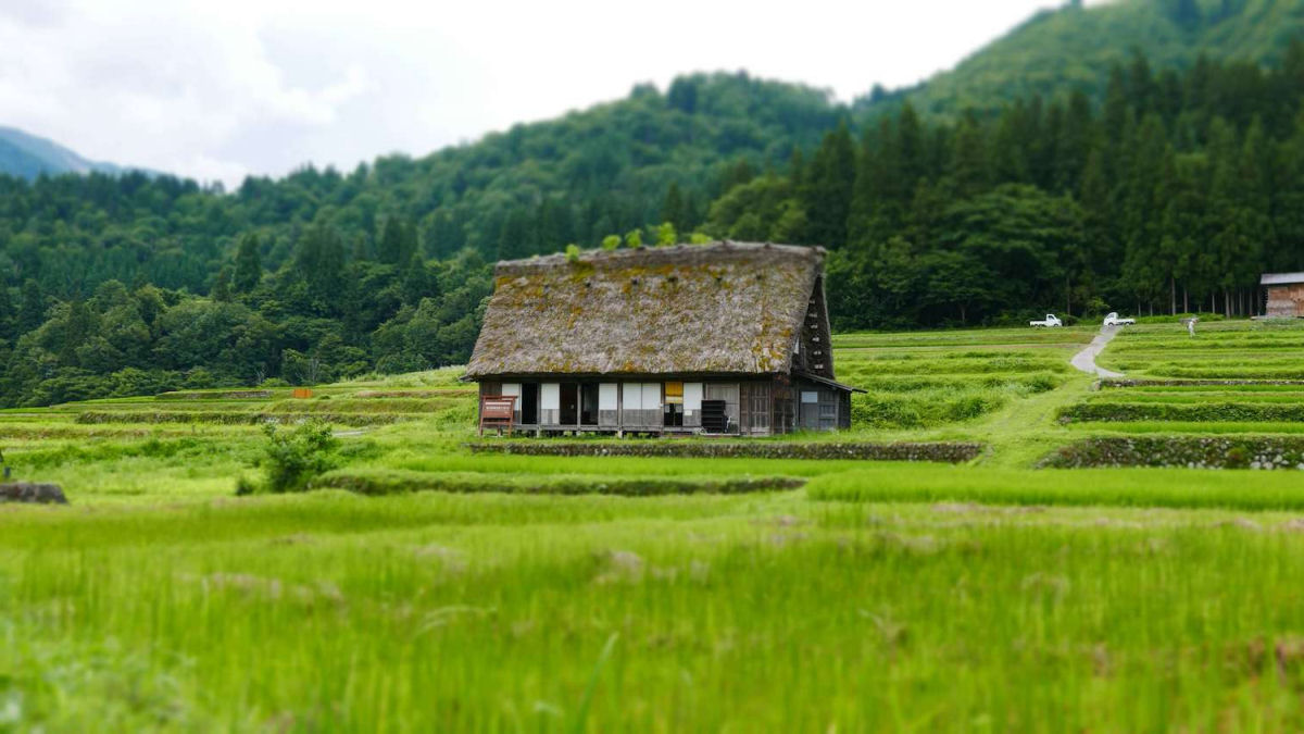 O Japo tem tantas casas vazias e baratas que estrangeiros esto mudando para l