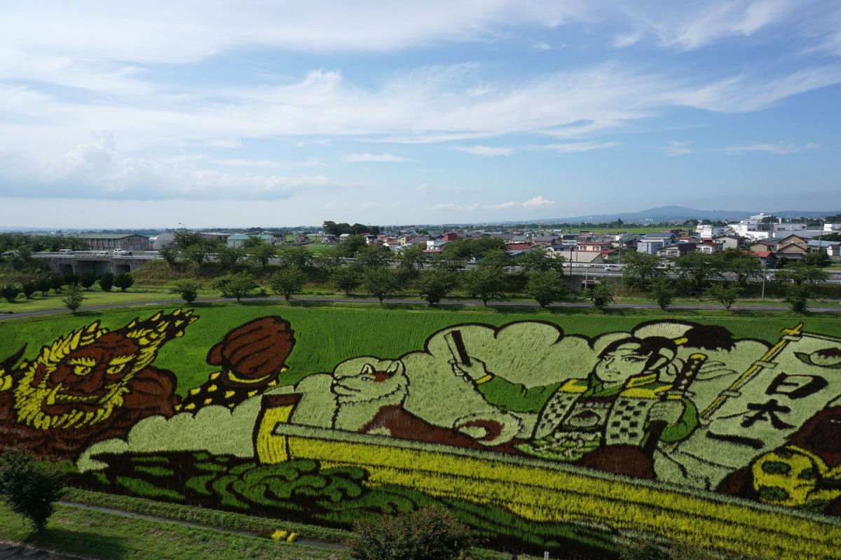 A arte esplêndida nos arrozais da pequena Inakadate, no Japão
