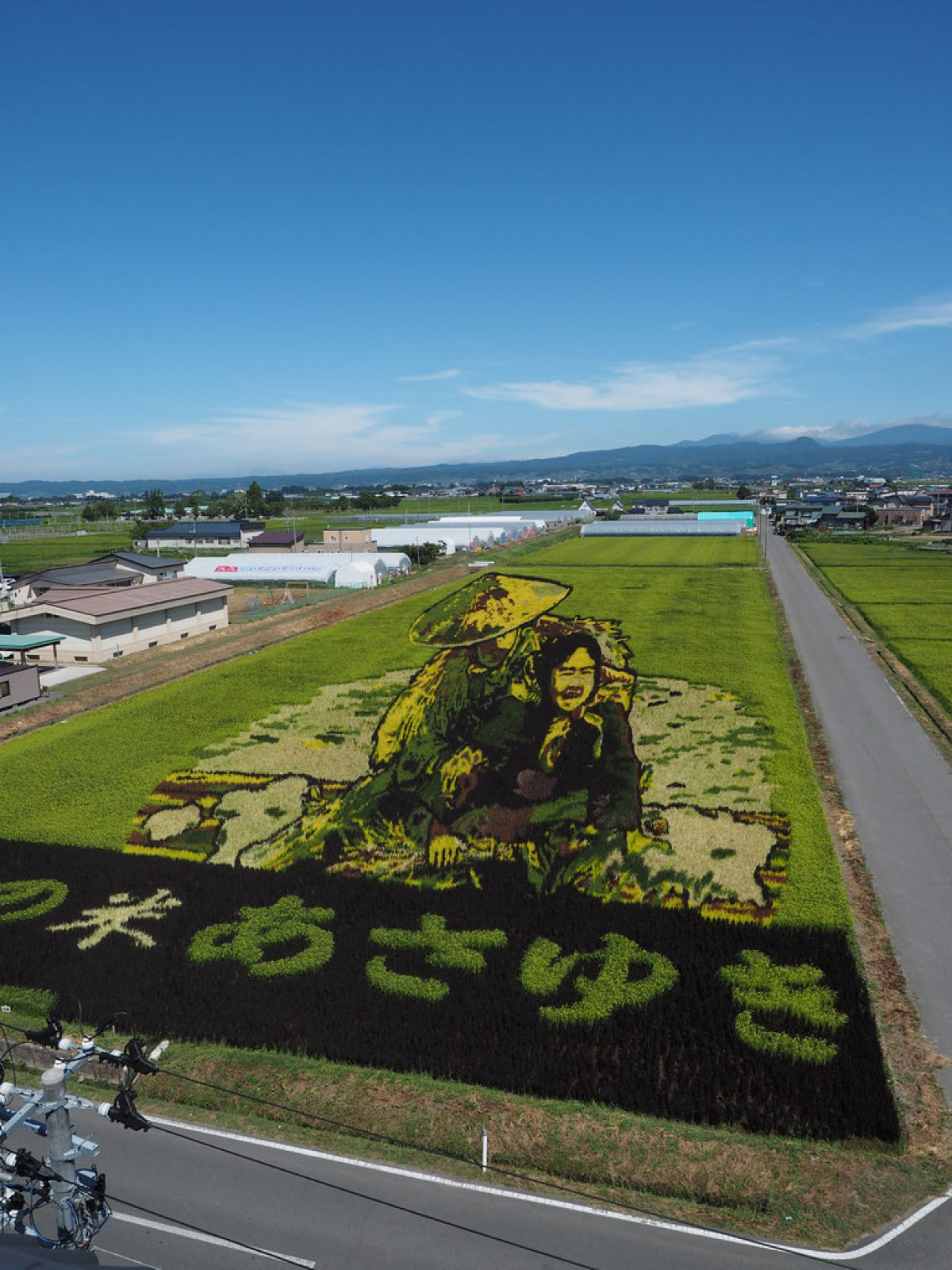 A arte esplêndida nos arrozais da pequena Inakadate, no Japão
