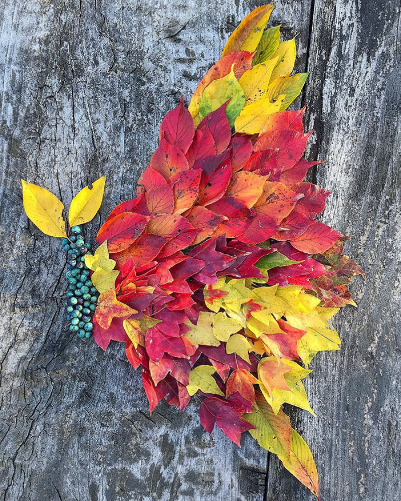 Japoneses fazem arte com folhas caídas do outono 04