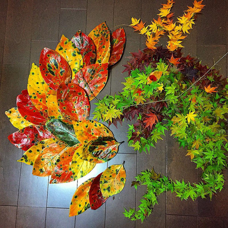 Japoneses fazem arte com folhas caídas do outono 10