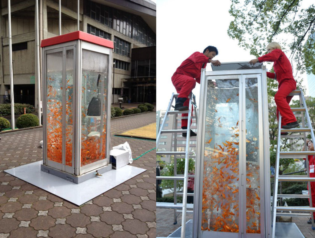O curioso reaproveitamento de cabines telefnicas como aqurio no Japo