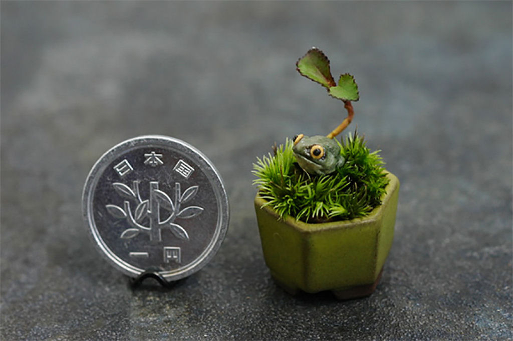 Micro bonsais dão um novo significado para a palavra miniatura 05