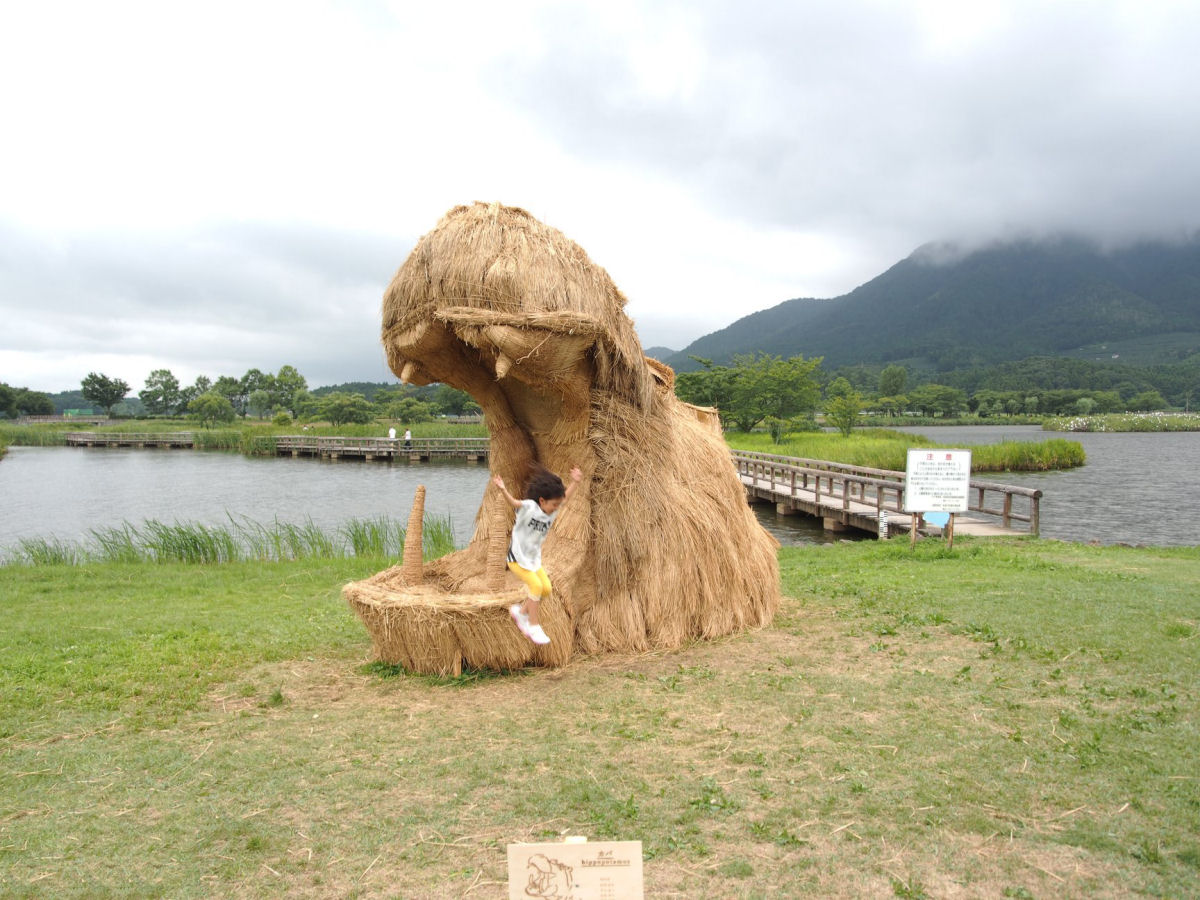 Os enormes animais feitos com palha de arroz no Festival de Arte Wara de 2018 no Japão 07