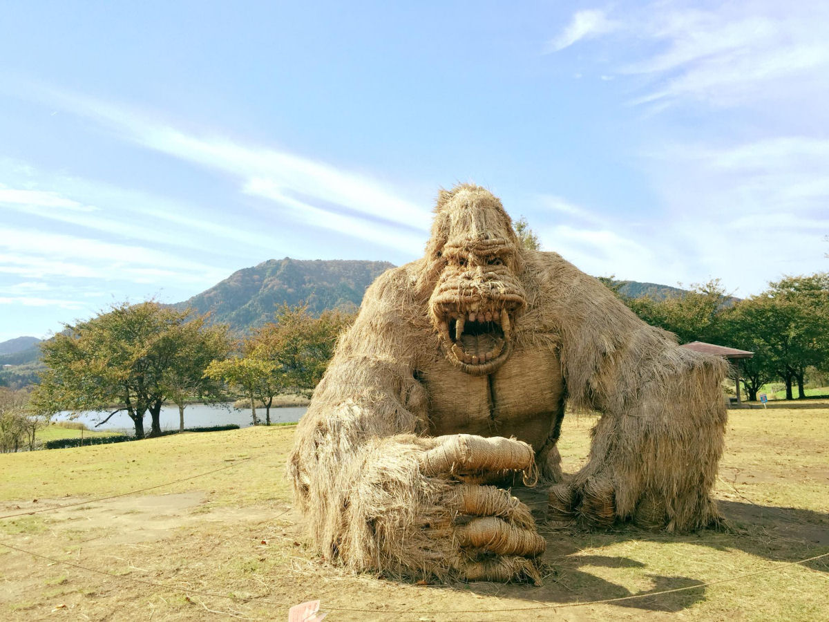 Os enormes animais feitos com palha de arroz no Festival de Arte Wara de 2018 no Japão 11
