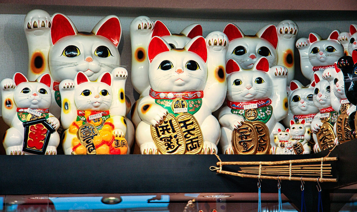 O festival do gato monstro  uma razo a mais para visitar o Japo