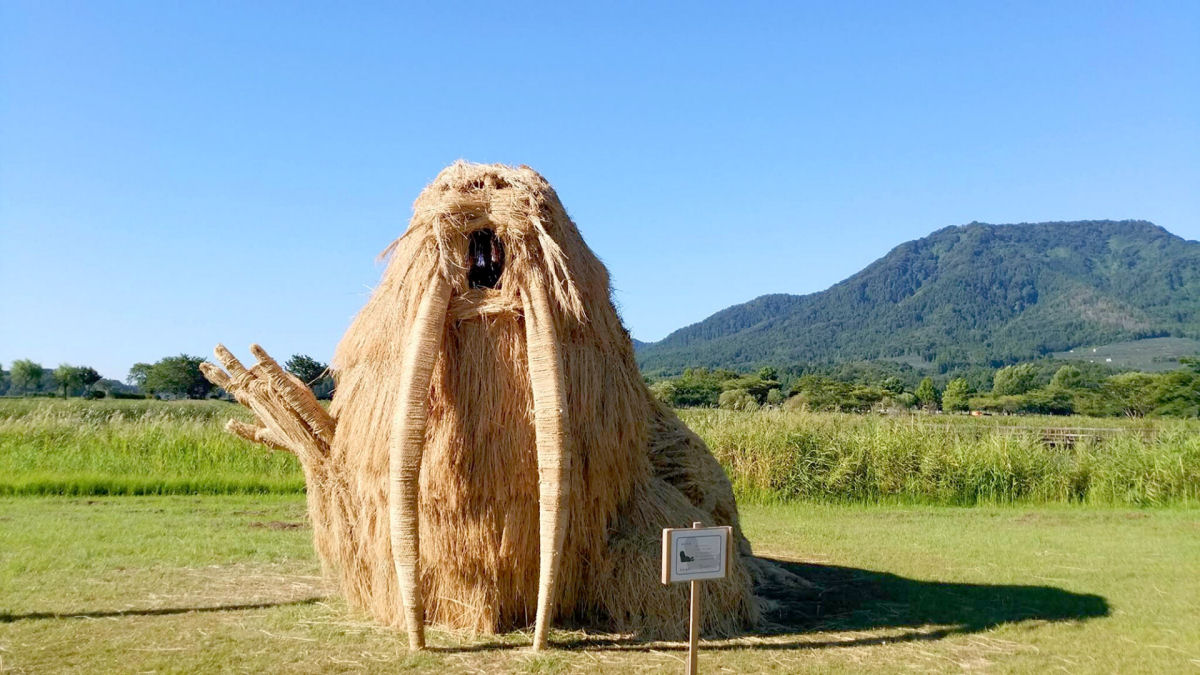 Criaturas de palha de arroz povoam as terras agrícolas japonesas em festival de arte 08