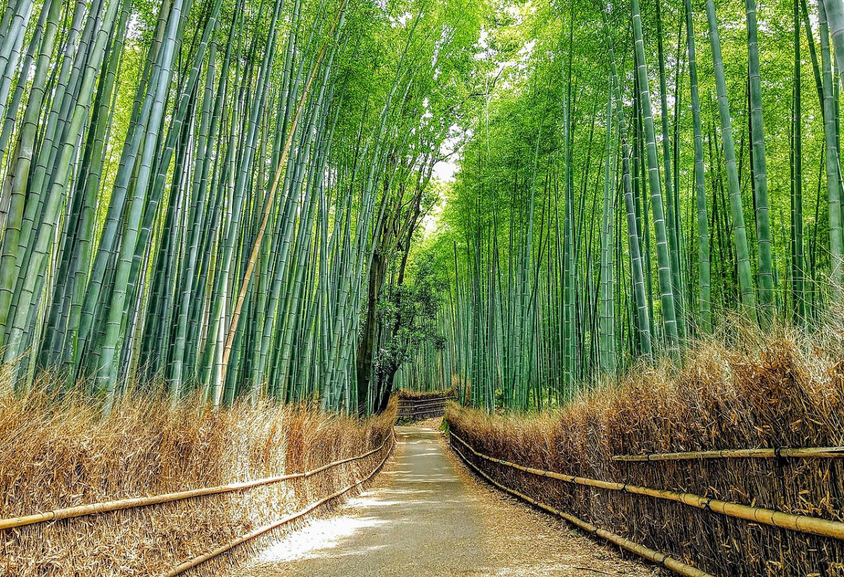 As 100 paisagens sonoras mais belas do Japo