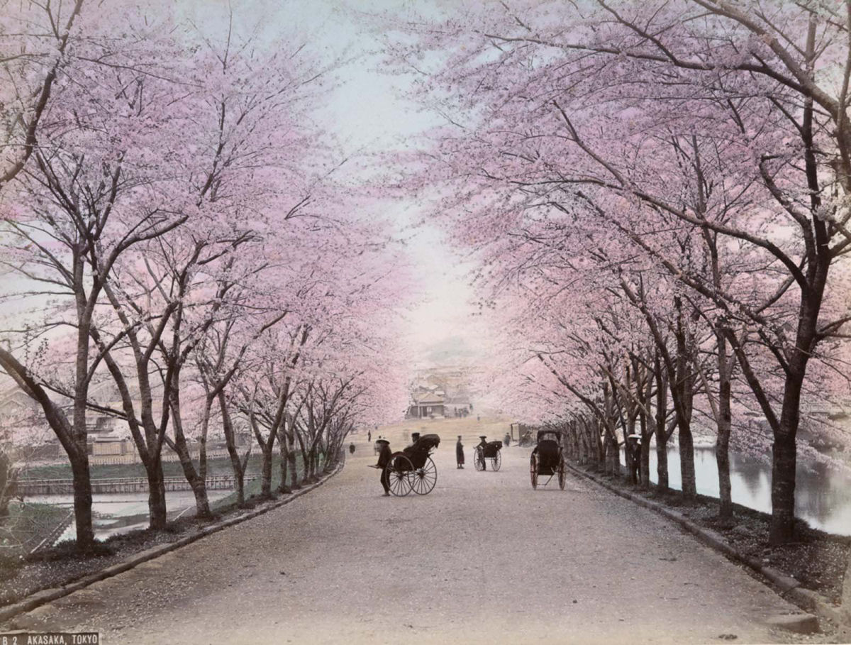 Fotos raras coloridas à mão da vida cotidiana em Meiji Japão, na década de 1890 04