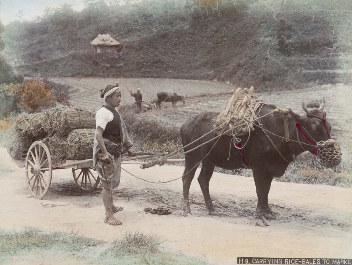 Fotos raras coloridas à mão da vida cotidiana em Meiji Japão, na década de 1890 08
