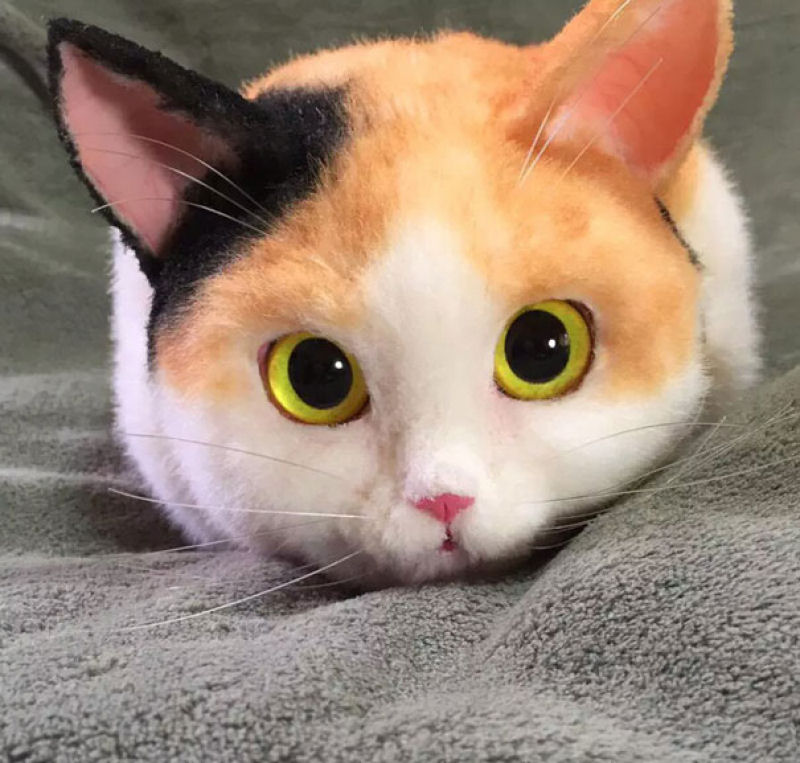 Adorveis ou horrorosas? Bolsas em forma de gato so uma nova mania no Japo 04