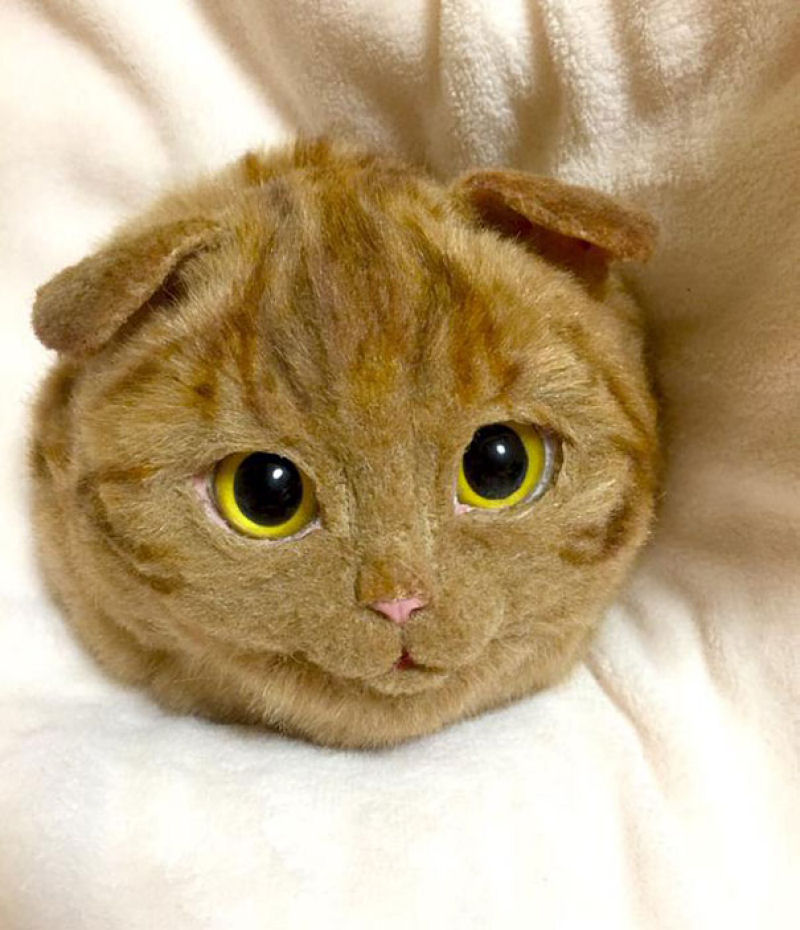 Adorveis ou horrorosas? Bolsas em forma de gato so uma nova mania no Japo 10