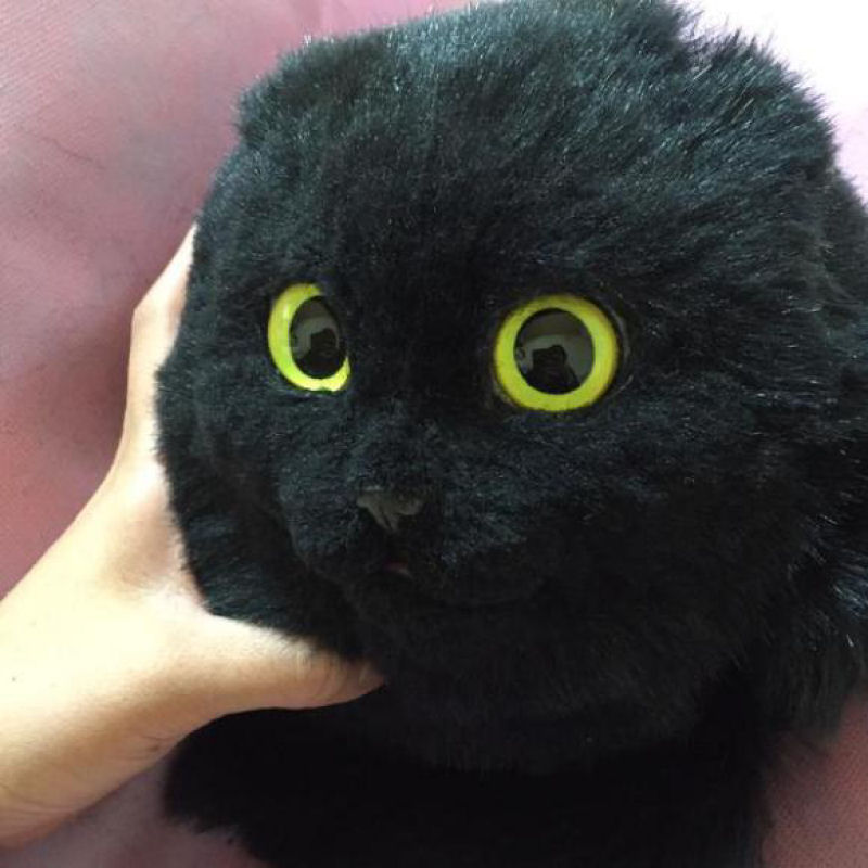 Adorveis ou horrorosas? Bolsas em forma de gato so uma nova mania no Japo 13