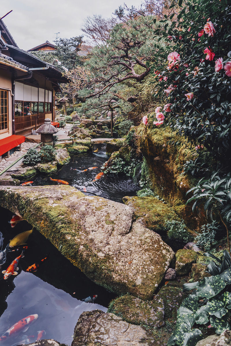 Fotgrafa visita florada da sakura no Japo e acaba se envolvendo em um conto de fadas 17