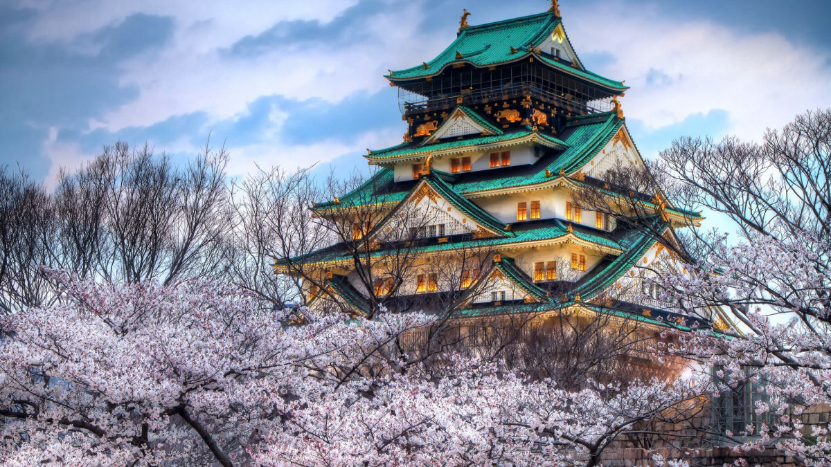 Hanami, a contemplação das flores de cerejeira no Japão 23