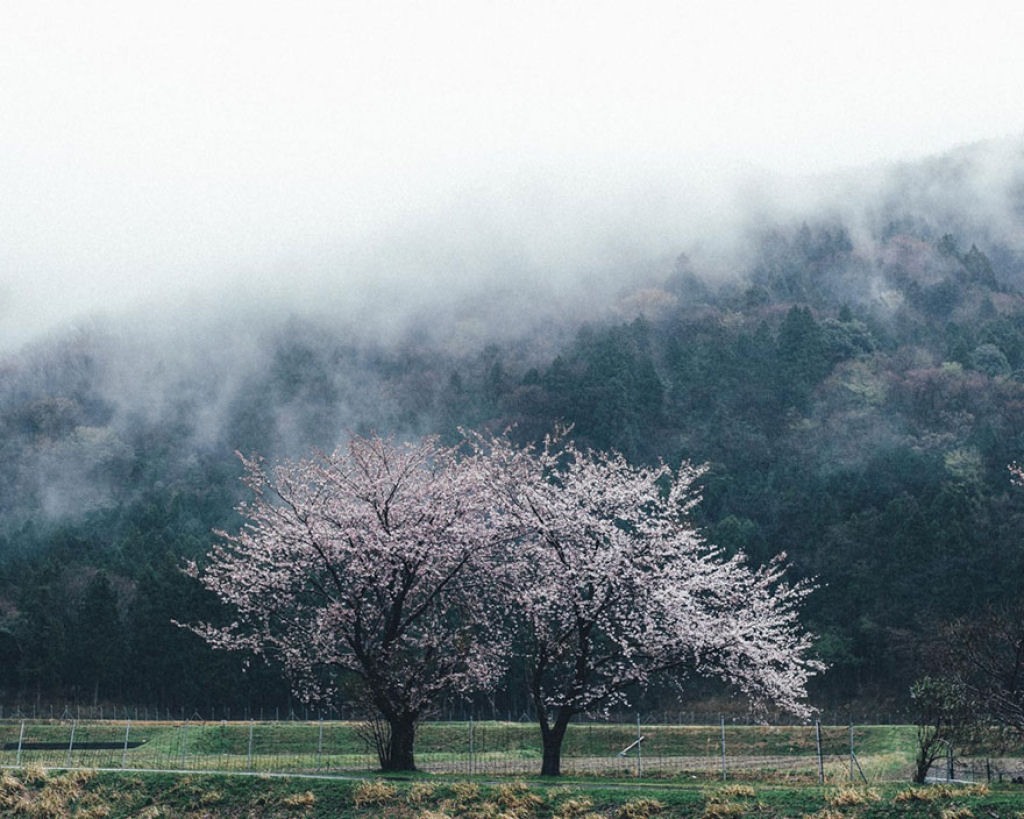 Este fotógrafo japonês documenta a beleza da vida cotidiana no Japão 04
