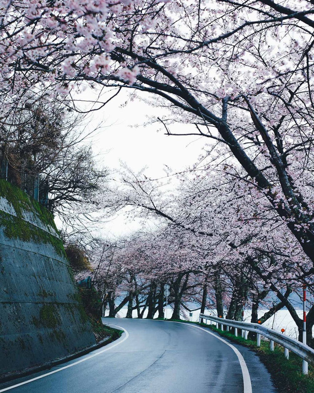 Este fotógrafo japonês documenta a beleza da vida cotidiana no Japão 08