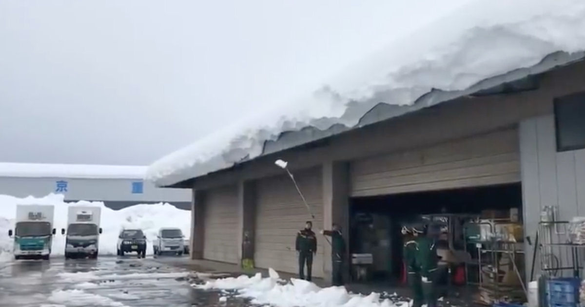 Japonês tenta tirar a neve do telhado com resultados hilários previsíveis